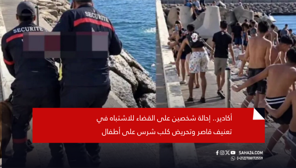 أكادير.. إحالة شخصين على القضاء للاشتباه في تعنيف قاصر وتحريض كلب شرس على أطفال